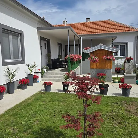 Apartman Ruza *