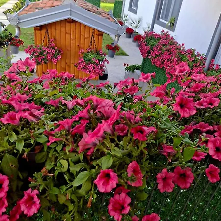 Apartman Ruza *